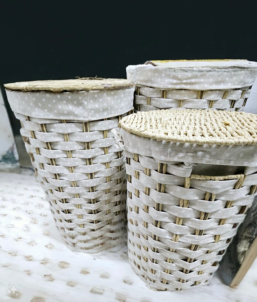 Set X 3 Cestos Con Tapa Elg23-127
