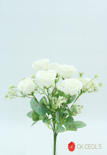 Rose Bush X 7 32 Cm White