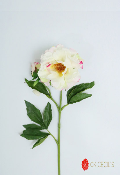 Peony Spray X 2 Fl 71 Cm (Wh/Cerise)