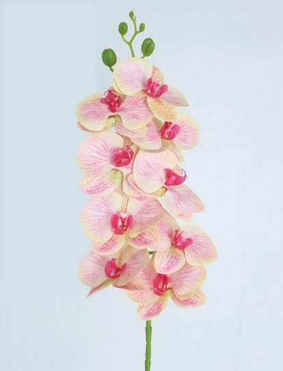 PHALEANOPSIS 94 CM PINK