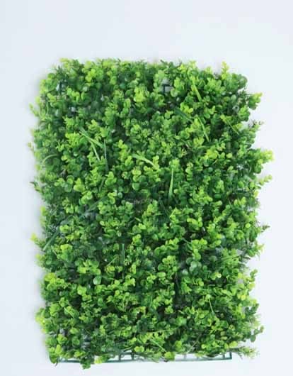 MAT BOXWOOD 40 X 60 CM. GREEN ( JARDIN VERTICAL)