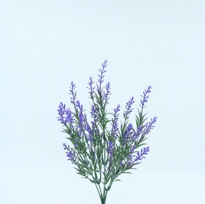 LAVANDA BUSH X 5 38 CM