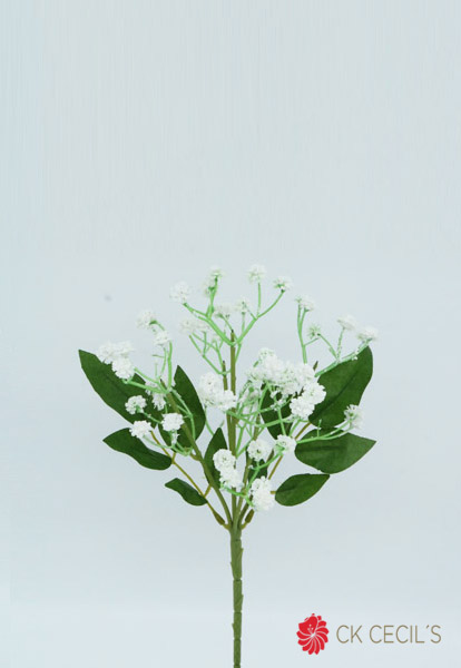 Baby Bush X 12 X 38Cm White
