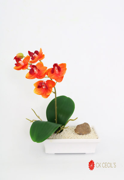 PLASTIC IKEBANA CH.RECT.19X17C WHITE/ORANGE