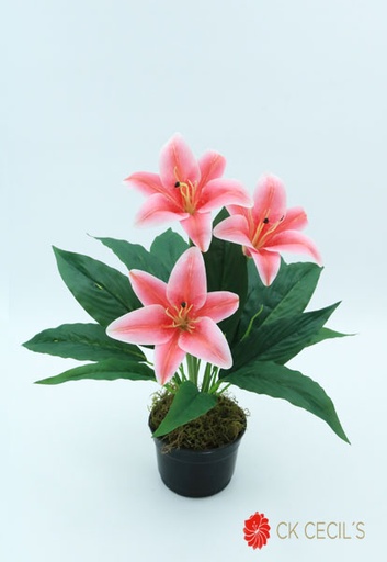 [4130335] LILY BUSH X 7 41 CM. / PINK