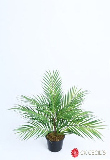 [4130372] PARLOUR PALM BUSH X 13 X 58 CM / GREEN VR45001