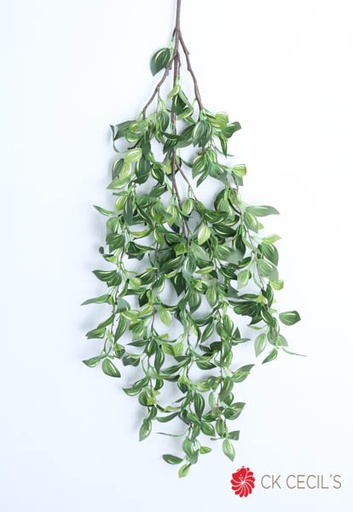 [4130382] WANDERING HANGING  X 3 X1 MT / GREEN VR67110