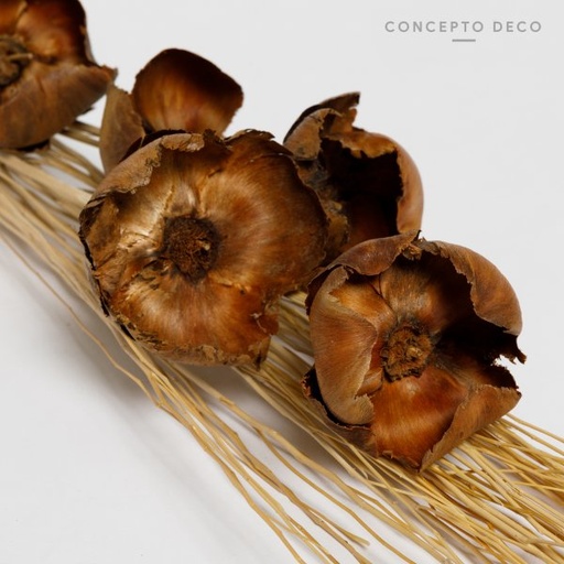 [165740] FLORES SECAS BOUQUET WOOD ROSE 78CM