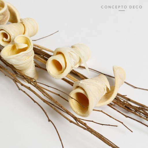 [165741] FLORES SECAS BOUQUET ELEPHANT EAR 72CM