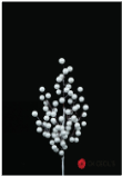 [277579] PICK BERRY X 40 CM. WHITE