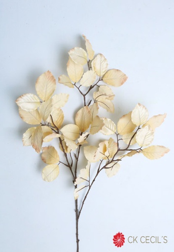 [277486] MARBLE BEECH SPAY X 99 CM. CREAM