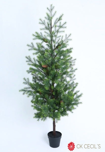 [277693] PINE TREE CON MACETA 1.89 MT. GREEN