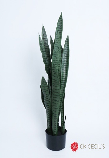 [4130250] SANSEVIERIA PLANT 1.12MT GREEN