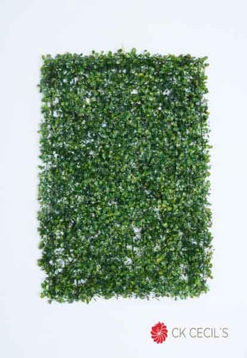 [413203] MAT BOXWOOD 40 X 60 CM. GREEN ( JARDIN VERTICAL)