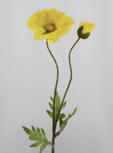 [413267] POPPY W/ 1BUD 56 CM. YELLOW