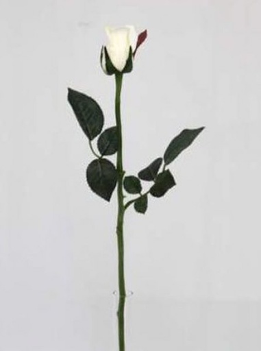 [413461] MARY ROSE BUD 57 CM (WHITE)