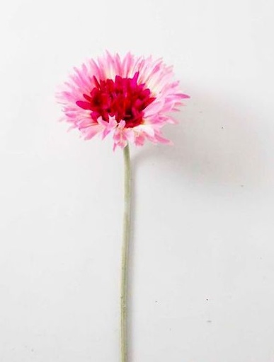 [413703] GERBERA DAISY SPRAY 58 CM (PINK)