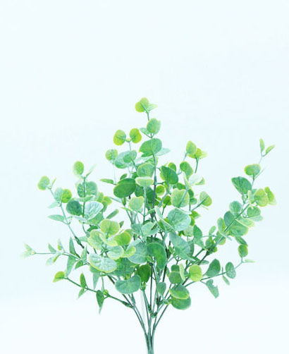 [413894] PEPEROMIA BUSH X 7 34 CM. WHITE GREEN