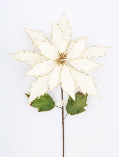 [277223] POINSETTIA VARA W/14PETALS 66C CREAM GOLD