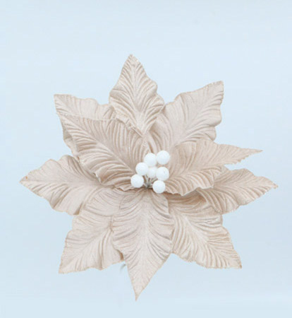 [277361] POINSETIA CON CLIP X 30 CM CHAMPAGNE