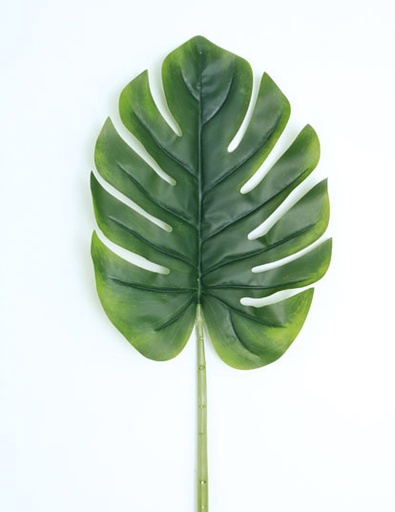 [413982] SPLIT PHILO LEAF NT. 90 CM. / T.T. GREEN