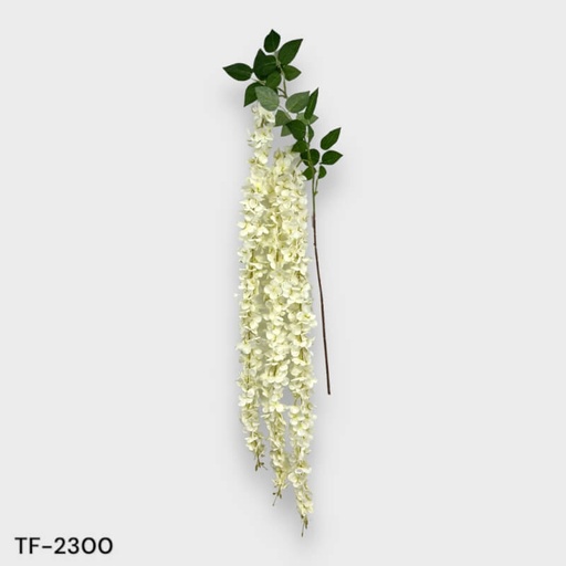 [180234] GLICINA X 3 TALLO 80 FLOR 90 CM