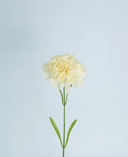 [413098] CARNATION SPRAY 60 CM WHITE