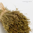FLORES SECAS BOUQUET GRASS VEDE 19CM