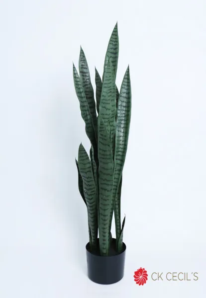 [4130250] Sansevieria Plant 1.12Mt Green.webp
