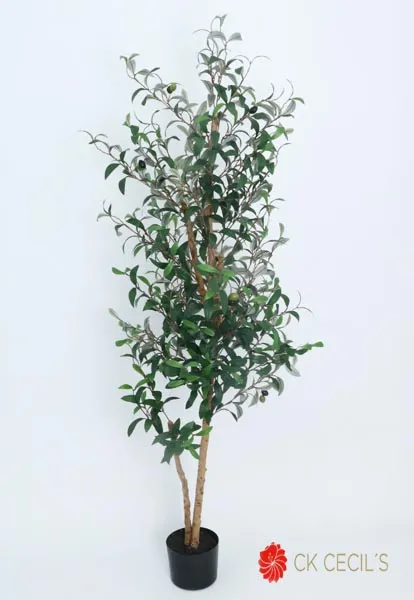 [4130115] Olive Tree X 744 Lvs. X 1.50Mt T.T. Green.webp