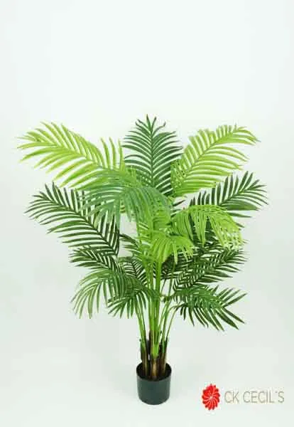 [41373] Areca Palm Nat. 1.35Mt Green.webp
