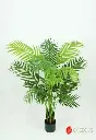 [41373] Areca Palm Nat. 1.35Mt Green.webp