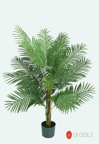 [413433] Paradize Palm 15Lvs 1.52Mt Green.webp