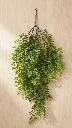 TF-953182.webp