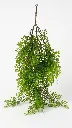 TF-953181.webp