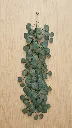 TF-110362.webp