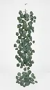 TF-110361.webp