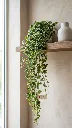 pomelli_photoshoot_image_9_16_0609 (32).webp