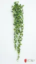 pomelli_photoshoot_image_9_16_0609 (31).webp