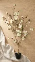 pomelli_photoshoot_image_9_16_0609 (39).webp
