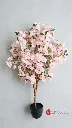 pomelli_photoshoot_image_9_16_0609 (75).webp