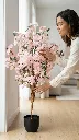 pomelli_photoshoot_image_9_16_0609 (78).webp