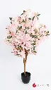 pomelli_photoshoot_image_9_16_0609 (76).webp