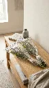 NH252841a.webp