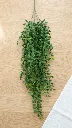 VR09900:01  d.webp
