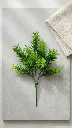 VR37755:01  d.webp