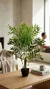 pomelli_photoshoot_image_9_16_0721 (5).webp