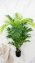 AR04001:01 a.webp