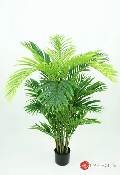 AR04001:01 .webp