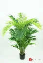 AR04001:01 .webp